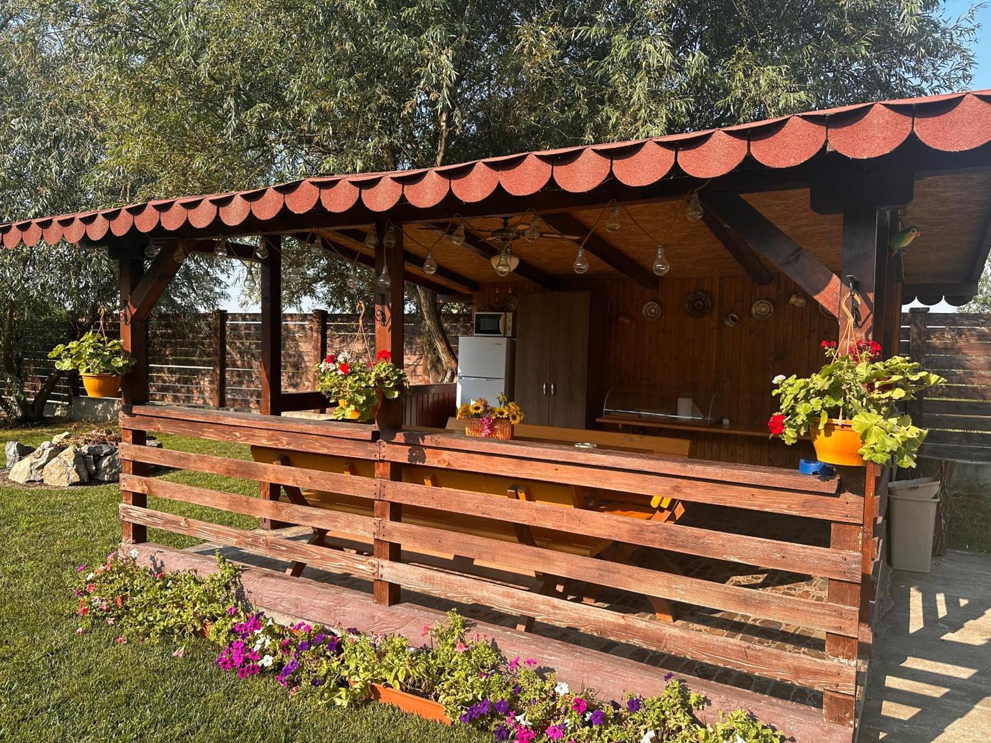 מלון Casa Carp Calarasi מראה חיצוני תמונה